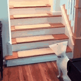 1668625968_7.gif