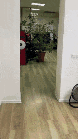 1668625978_11.gif