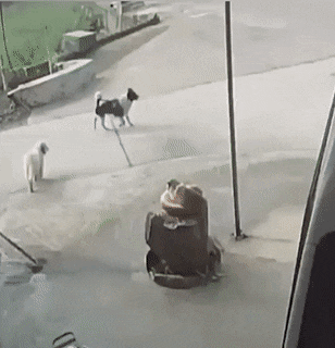 1668625986_10.gif