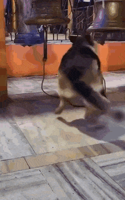 1668626052_23.gif
