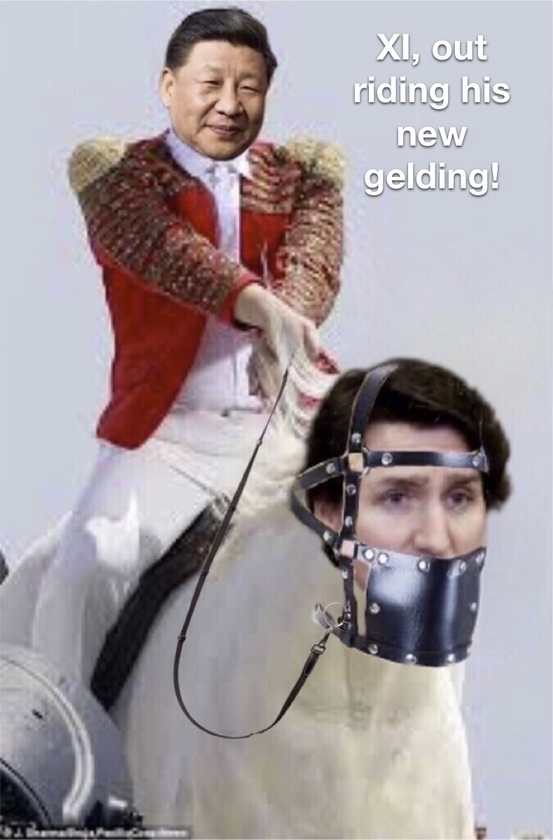 1668736038975.png