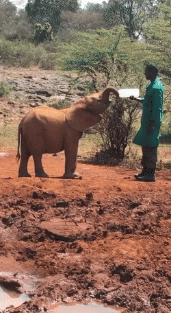 1668795492_24.gif