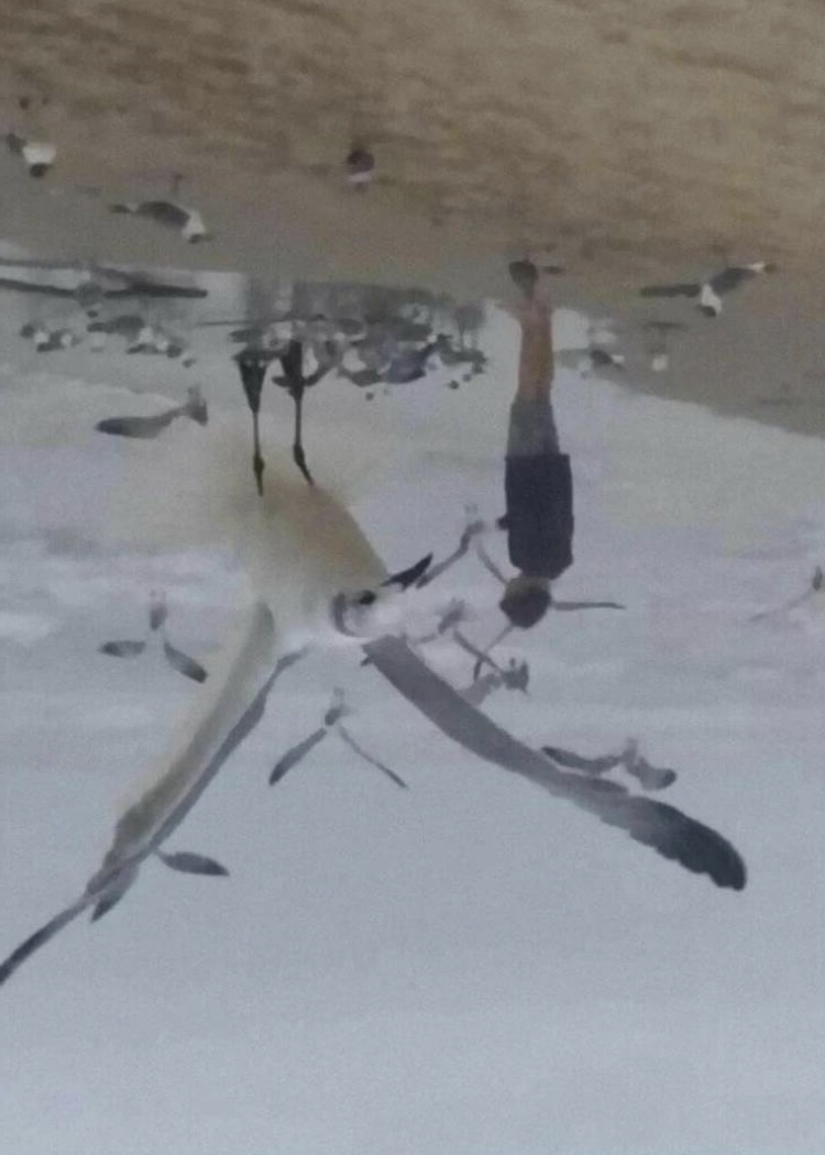 1668867963553.jpeg