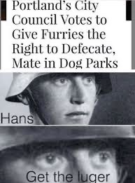 1668884571085.png