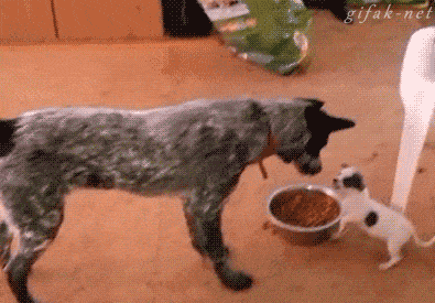 1669033477_3.gif