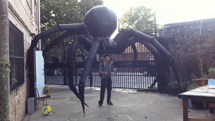 1669033483_15.gif