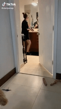 1669033493_23.gif
