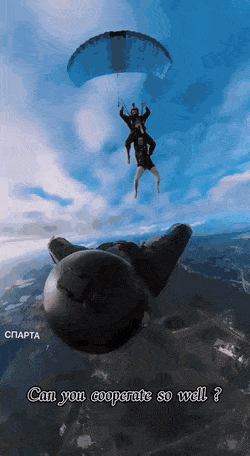 1669033506_19.gif