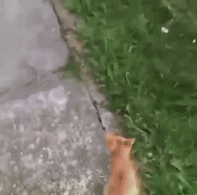 1669033550_2.gif