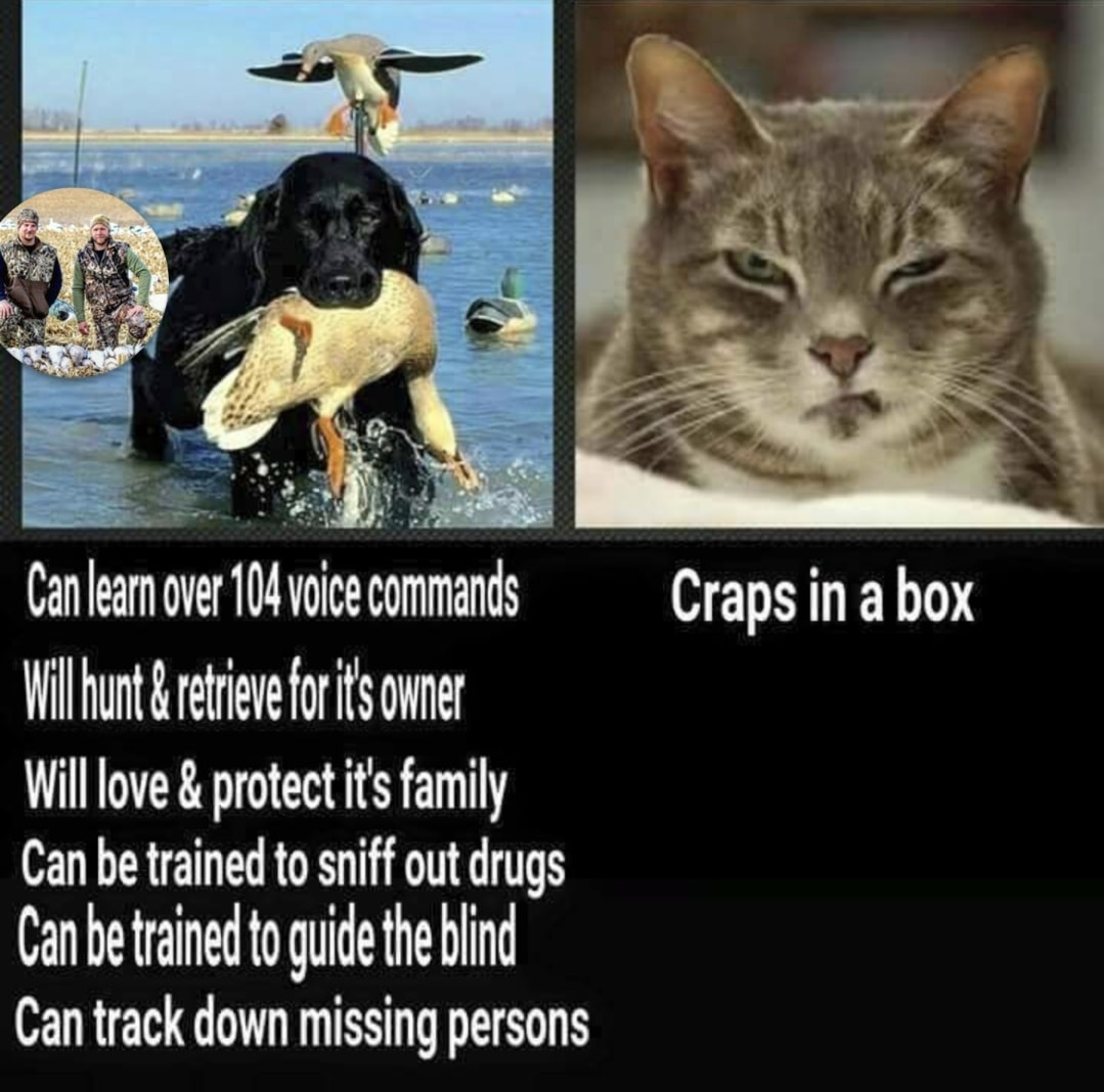 1669082171043.png