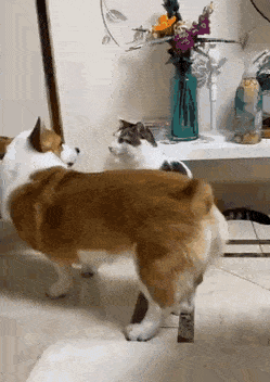 1669126581_6.gif