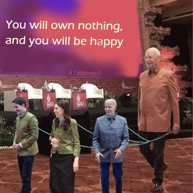 1669161410964.png