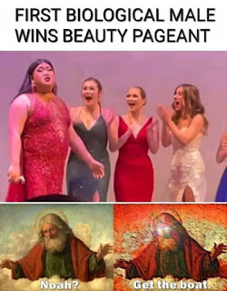 1669163179286.png