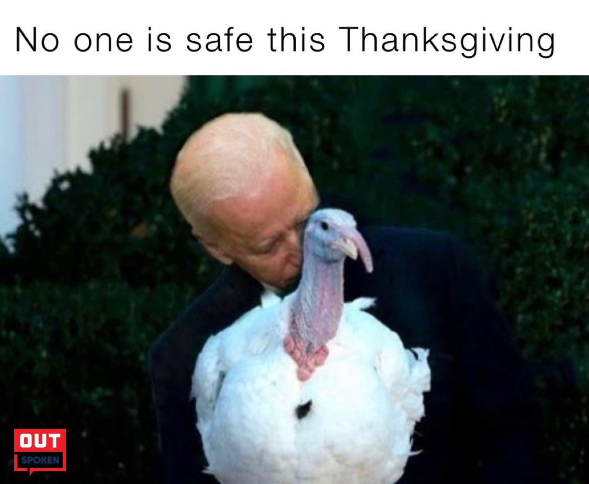 1669303231174.png