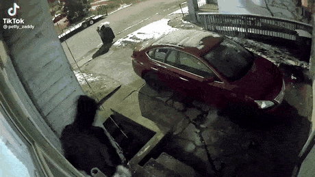 1669318603_3.gif