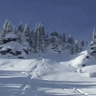 1669318641_2.gif