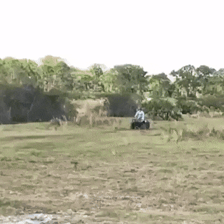 1669318661_5.gif