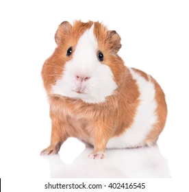 1669463133706.png