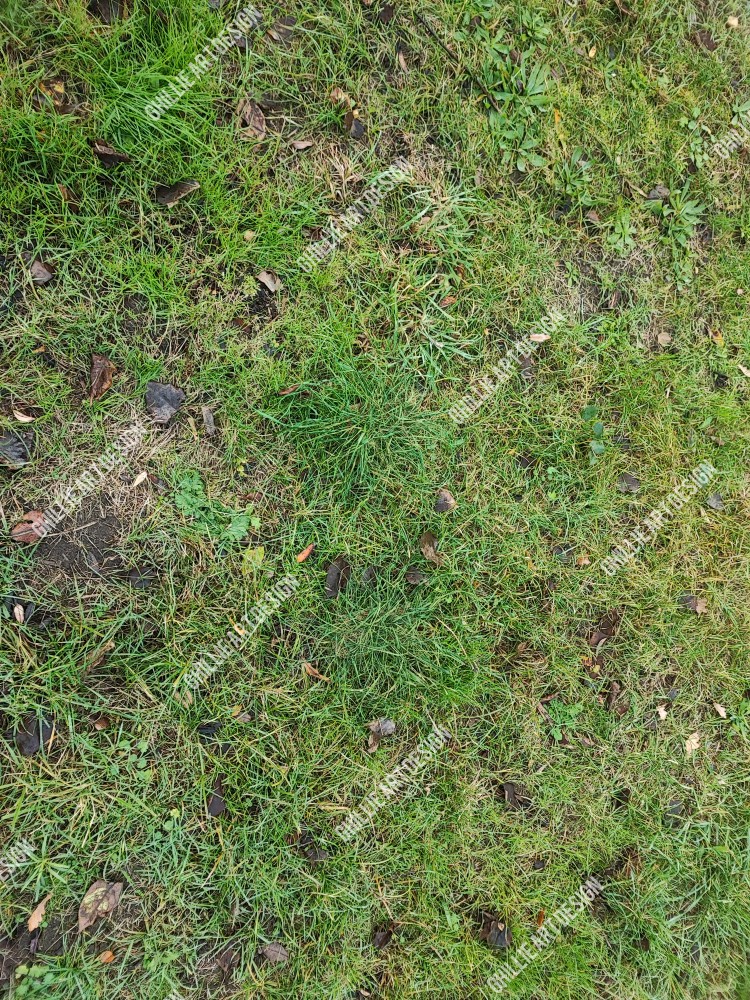 1669478918007.jpeg