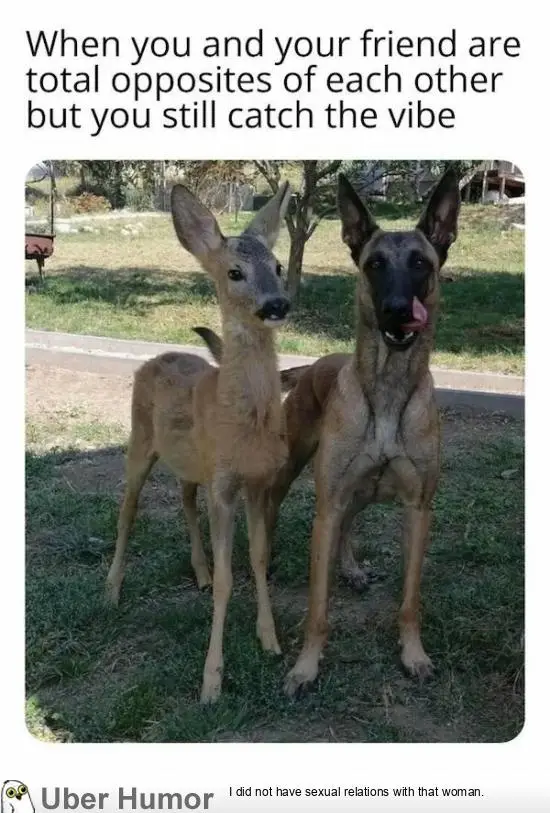 1669524925198.png