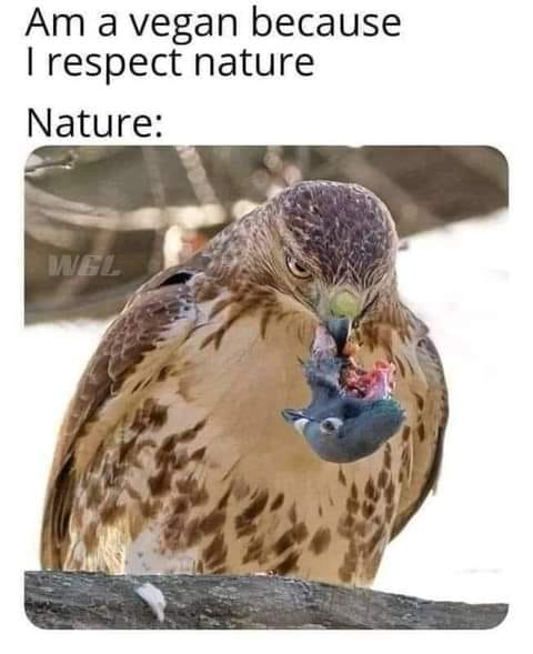 1669583739094.png