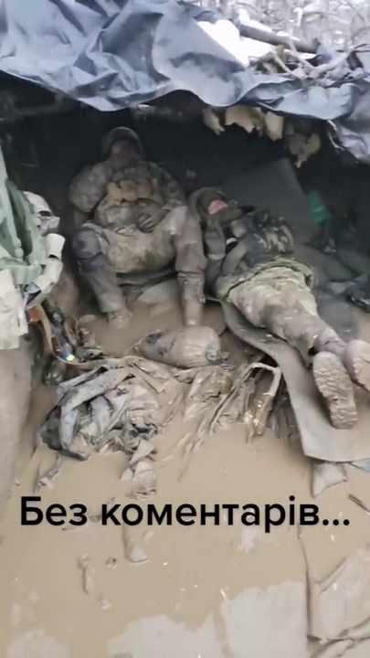 1669586379252.png