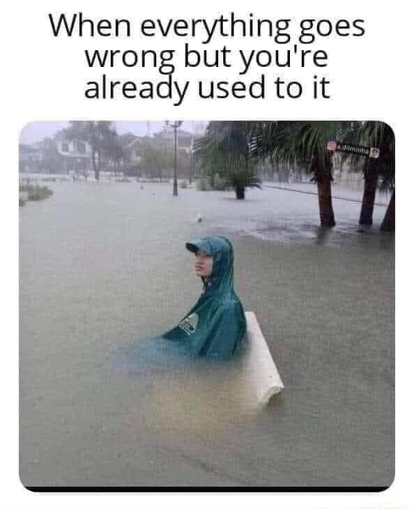 1669588565021.png
