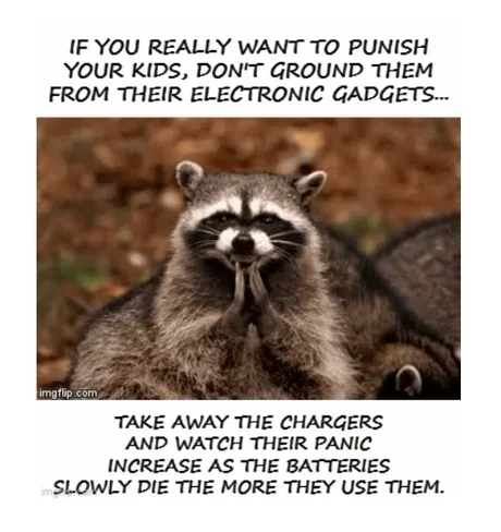 1669613768270.png