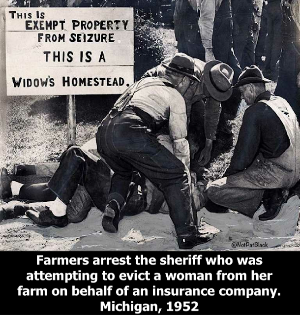 1669614212365.png
