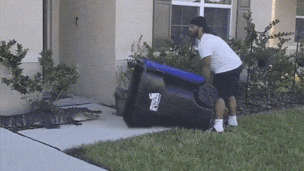 1669656509_2.gif