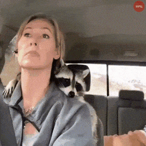 1669656589_11.gif