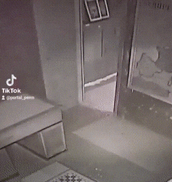 1669656592_12.gif