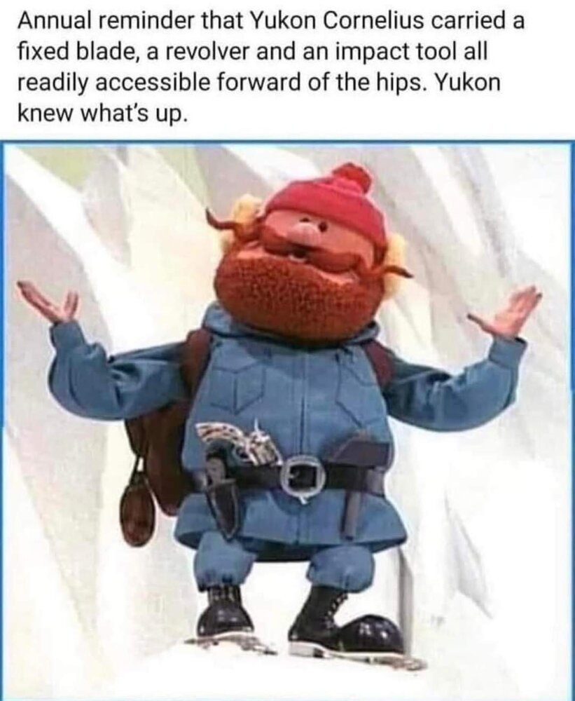 1669688374888.png