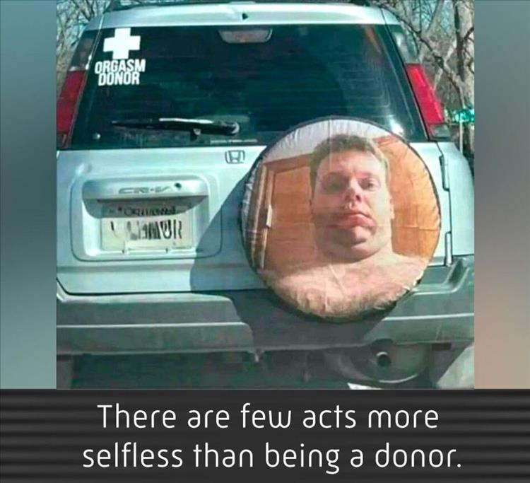 1669708510511.png