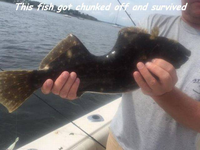 1669758097709.png