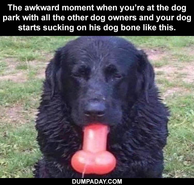 1669809434918.png