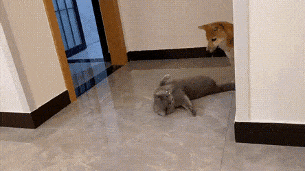 1669827758_2.gif