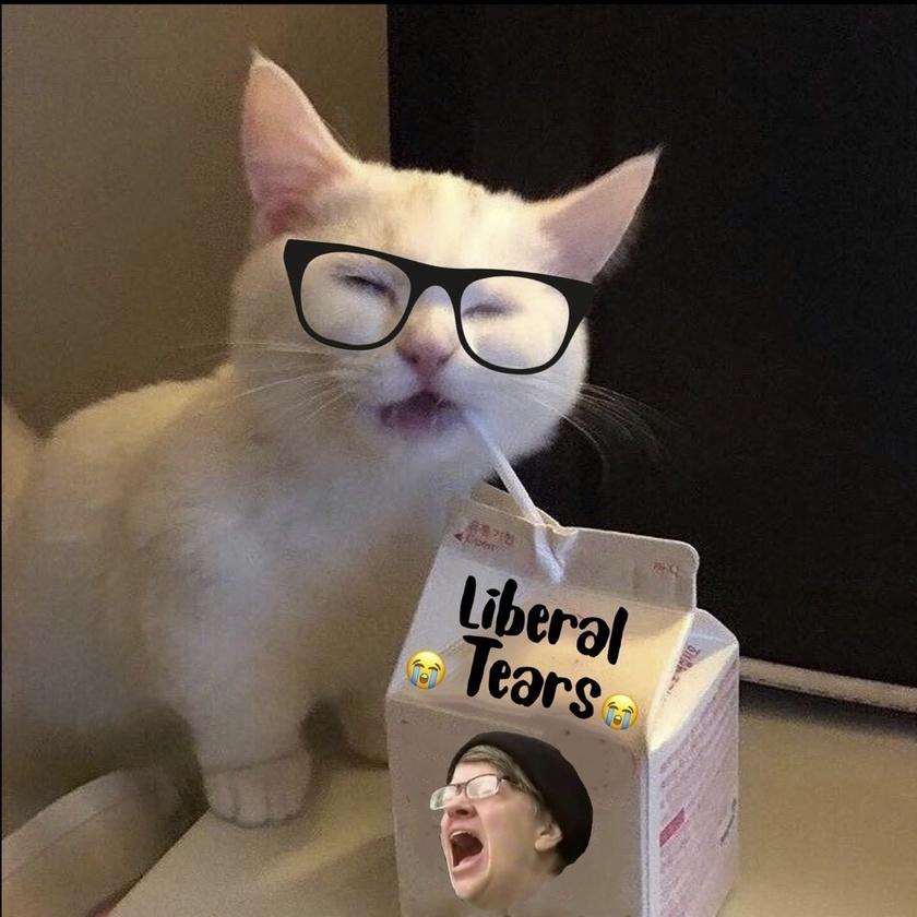 1669853503049.png