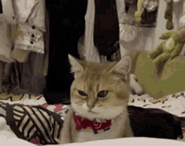 1669868156899.gif