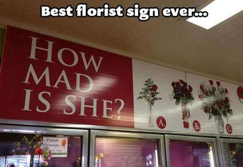 1669876733987.png