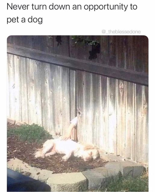 1669913951807.png