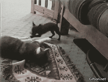 1669916453_7.gif