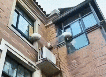 1669972117_7.gif