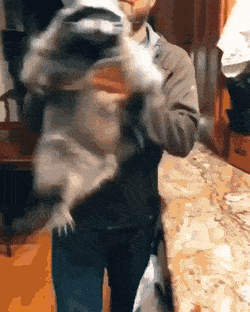 1669972126_18.gif