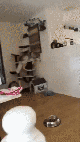 1669972186_10.gif
