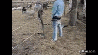 1670176677585.gif