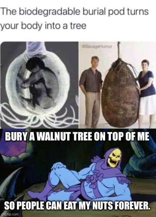 1670296689160.png
