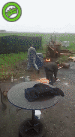 1670360597_25.gif
