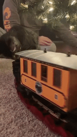 1670422773_8.gif