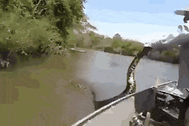 1670422794_4.gif